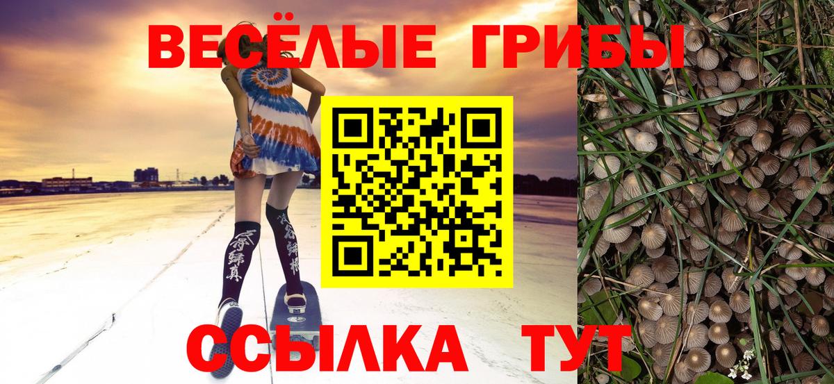 Псилоцибиновые грибы мухоморы Кириши