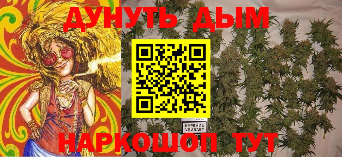 Каннабис сатива Кириши